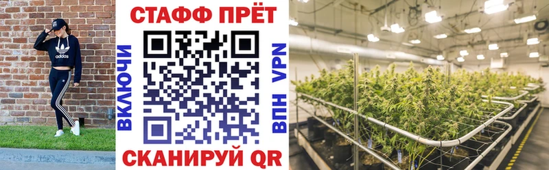 Все наркотики Курчалой Кокаин  МЕФ  СК  Метадон  blacksprut как зайти  Каннабис 