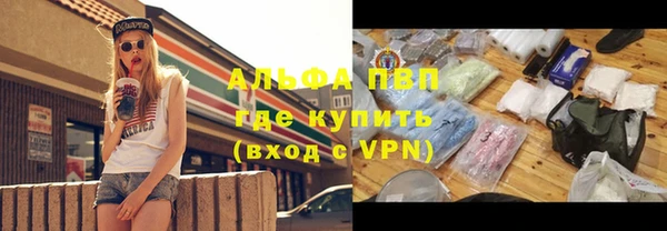 эйфоретик Баксан