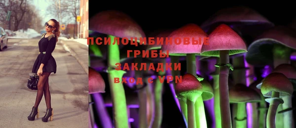 эйфоретик Баксан