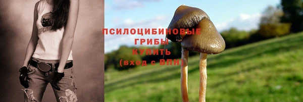 эйфоретик Баксан