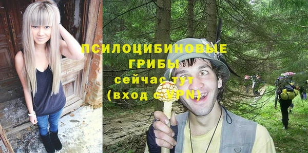 эйфоретик Баксан