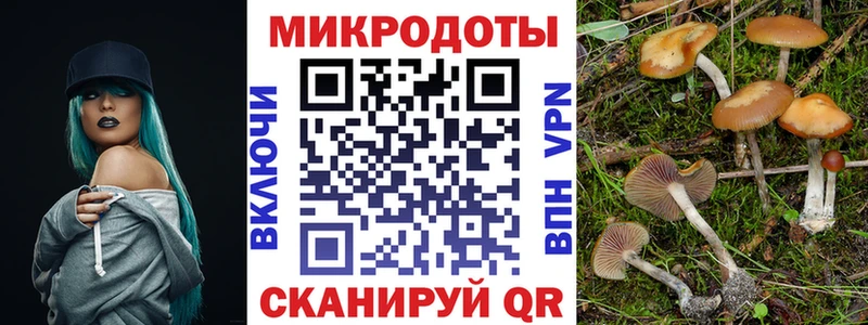 Псилоцибиновые грибы Psilocybine cubensis  закладки  Курчалой 